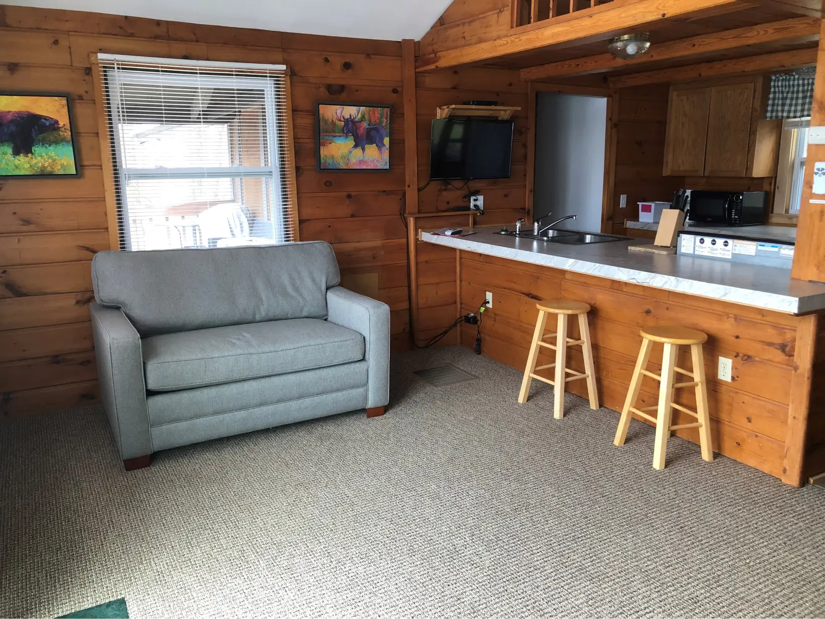 Cabin-sleeper-sofa (1)